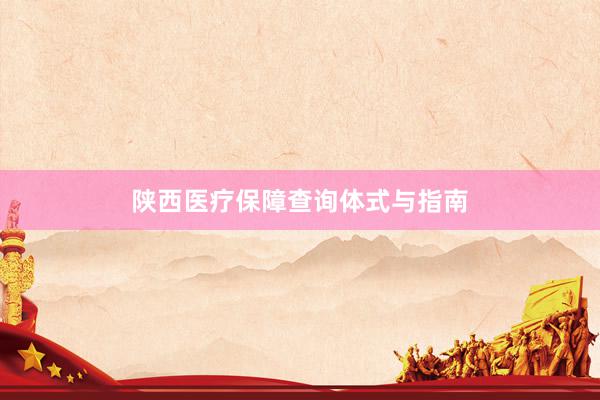 陕西医疗保障查询体式与指南
